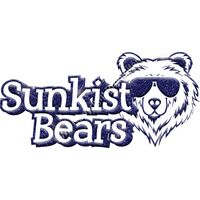 GLT17 BLUE GLITTER Thumbnail